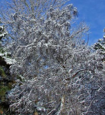 Прикрепленное изображение: 002a.jpg